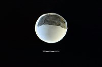 陶缽藏品圖，第2張